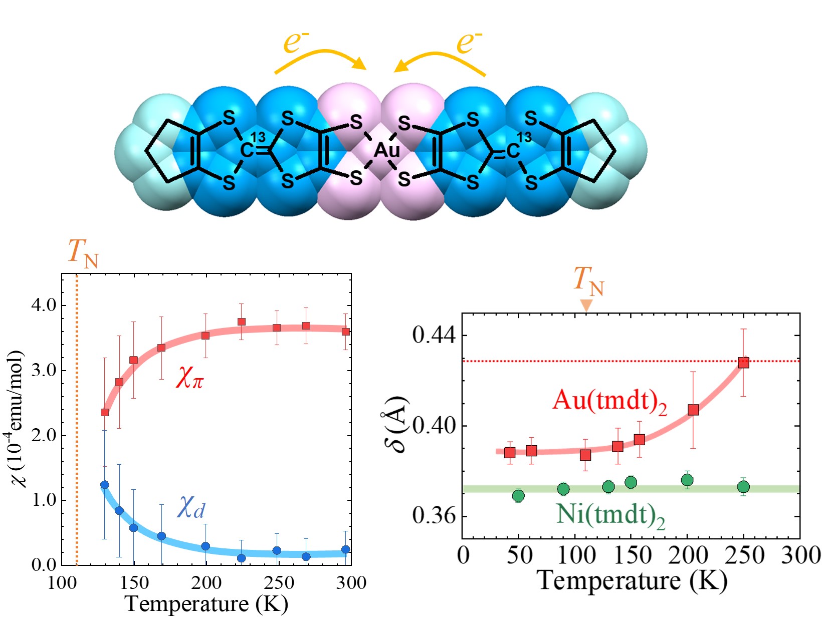 研究内容 高木研究室